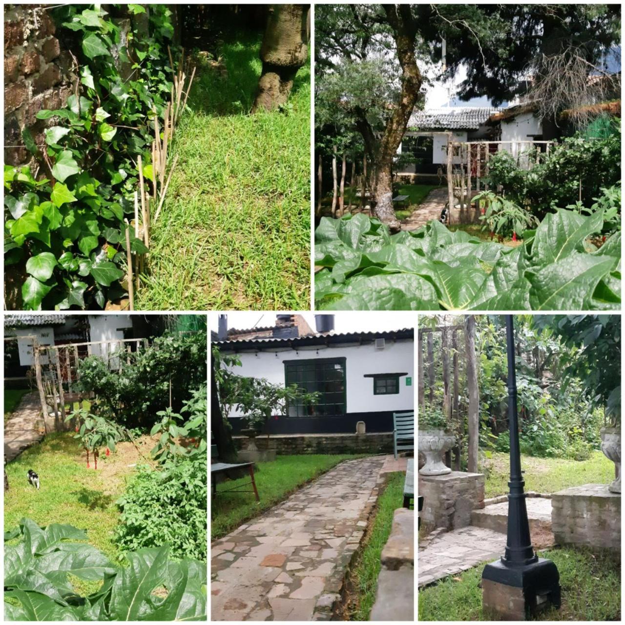 Cedron Hostel Bogotá Eksteriør billede